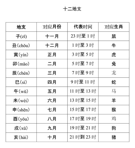 天干代表什麼|天干地支在古代的真实含义是什么？